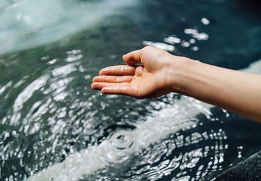 ソムリエ・アドバイザー