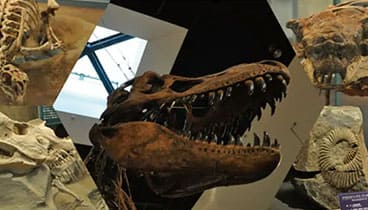 神流町恐竜センター