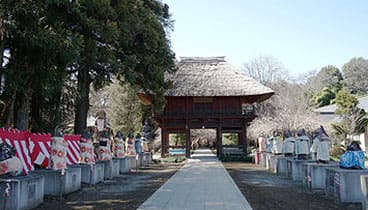 茂林寺